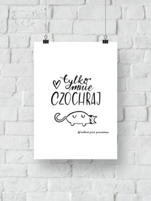Tylko mnie czochraj - plakat do druku