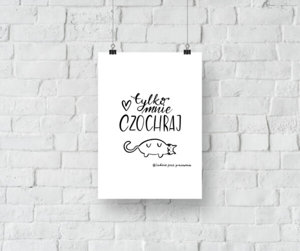 Tylko mnie czochraj - plakat do druku